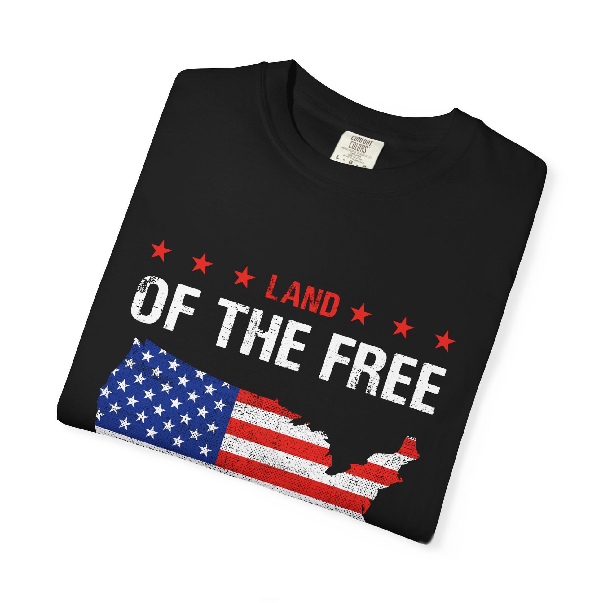 Patriotic T-Shirt - Land of the Free, USA Pride, Independence Day, Casual Wear, Fourth of July, Gift for Americans, Vintage Style